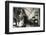 Old Lady with Two Dogs and Two Cats-null-Framed Photographic Print