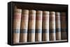 Old Law Books in Library Virginia City, Nevada, USA-Michael DeFreitas-Framed Stretched Canvas