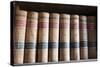 Old Law Books in Library Virginia City, Nevada, USA-Michael DeFreitas-Stretched Canvas