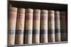 Old Law Books in Library Virginia City, Nevada, USA-Michael DeFreitas-Mounted Photographic Print