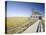 Old Life Saving Station, Race Point Beach, Provincetown, Cape Cod, Massachusetts, USA-Walter Bibikow-Stretched Canvas