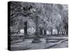 Old Live Oak Cemetery, Selma, Alabama-Carol Highsmith-Stretched Canvas