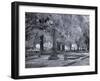 Old Live Oak Cemetery, Selma, Alabama-Carol Highsmith-Framed Art Print