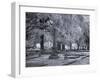 Old Live Oak Cemetery, Selma, Alabama-Carol Highsmith-Framed Art Print