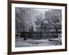 Old Live Oak Cemetery, Selma, Alabama-Carol Highsmith-Framed Art Print