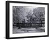 Old Live Oak Cemetery, Selma, Alabama-Carol Highsmith-Framed Art Print