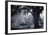 Old Live Oak Cemetery, Selma, Alabama-Carol Highsmith-Framed Art Print