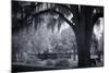 Old Live Oak Cemetery, Selma, Alabama-Carol Highsmith-Mounted Art Print