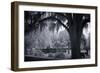 Old Live Oak Cemetery, Selma, Alabama-Carol Highsmith-Framed Art Print