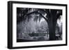 Old Live Oak Cemetery, Selma, Alabama-Carol Highsmith-Framed Art Print