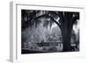 Old Live Oak Cemetery, Selma, Alabama-Carol Highsmith-Framed Art Print