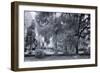 Old Live Oak Cemetery, Selma, Alabama-Carol Highsmith-Framed Art Print