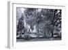 Old Live Oak Cemetery, Selma, Alabama-Carol Highsmith-Framed Art Print