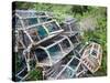 Old Lobster Pots at Catterline, Aberdeenshire, Scotland, United Kingdom, Europe-Mark Sunderland-Stretched Canvas