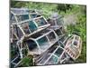 Old Lobster Pots at Catterline, Aberdeenshire, Scotland, United Kingdom, Europe-Mark Sunderland-Mounted Premium Photographic Print