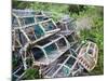 Old Lobster Pots at Catterline, Aberdeenshire, Scotland, United Kingdom, Europe-Mark Sunderland-Mounted Photographic Print