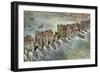 Old London Bridge, C 1600-Peter Jackson-Framed Giclee Print