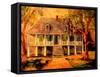 Old Louisiana Planters House-Diane Millsap-Framed Stretched Canvas