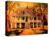 Old Louisiana Planters House-Diane Millsap-Stretched Canvas