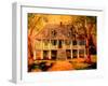 Old Louisiana Planters House-Diane Millsap-Framed Art Print