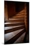 Old Lyon Stairway II-Erin Berzel-Mounted Photographic Print