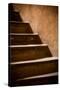 Old Lyon Stairway IV-Erin Berzel-Stretched Canvas