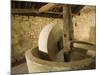 Old machinery to make olive oil at Arboretum, , Trsteno, , Dalmatia, Croatia-Merrill Images-Mounted Photographic Print