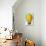 Old Maid's Honeymoon, Lemon Balloon-null-Art Print displayed on a wall