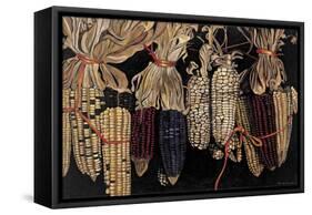 Old Maize Cobs, 2004-Pedro Diego Alvarado-Framed Stretched Canvas