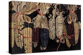 Old Maize Cobs, 2004-Pedro Diego Alvarado-Stretched Canvas