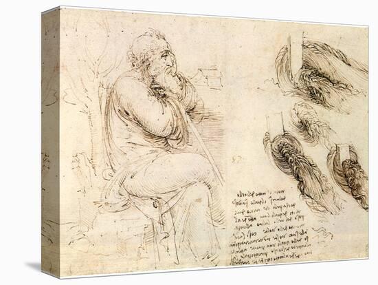 Old Man and Water Studies, 1513-Leonardo da Vinci-Stretched Canvas