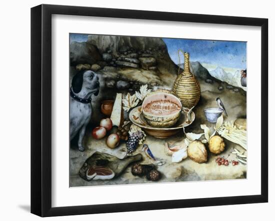 Old Man from Artimino, Circa 1650-Giovanna Garzoni-Framed Giclee Print