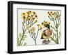 Old Man in the Spring I-Melissa Wang-Framed Art Print