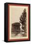 Old Man of the Park. Near Sundance, Wyo-John C. H. Grabill-Framed Stretched Canvas