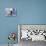 Old Man Walking in a Typical Street in Chefchaouen, Rif Mountains Region, Morocco-Levy Yadid-Photographic Print displayed on a wall