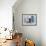 Old Man Walking in a Typical Street in Chefchaouen, Rif Mountains Region, Morocco-Levy Yadid-Framed Photographic Print displayed on a wall