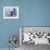 Old Man Walking in a Typical Street in Chefchaouen, Rif Mountains Region, Morocco-Levy Yadid-Framed Photographic Print displayed on a wall