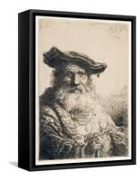 Old Man with Flowing Beard, 1642-Ferdinand Bol-Framed Stretched Canvas