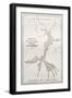 Old Map Of Alluvial Deposits At Missisipi Estuary-marzolino-Framed Art Print