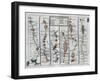 Old Map of the Road from Dartmouth to Minhead in Somerset-Shire-null-Framed Giclee Print