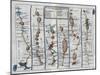 Old Map of the Road from Dartmouth to Minhead in Somerset-Shire-null-Mounted Giclee Print