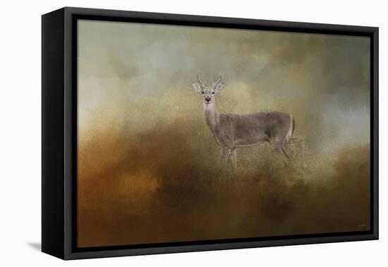 Old Master-Jai Johnson-Framed Stretched Canvas