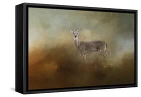 Old Master-Jai Johnson-Framed Stretched Canvas