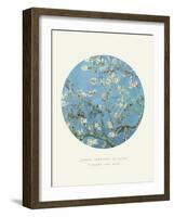 Old Masters, New Circles: Almond Branches in Bloom, San Remy, c.1890-Vincent van Gogh-Framed Art Print