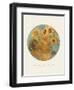 Old Masters, New Circles: Sunflowers, c.1889-Vincent van Gogh-Framed Art Print