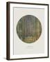 Old Masters, New Circles: Tannenwald (Pine Forest), c.1902-Gustav Klimt-Framed Art Print