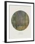 Old Masters, New Circles: Tannenwald (Pine Forest), c.1902-Gustav Klimt-Framed Art Print