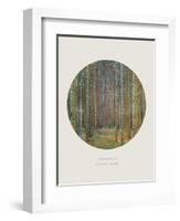 Old Masters, New Circles: Tannenwald (Pine Forest), c.1902-Gustav Klimt-Framed Art Print