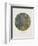 Old Masters, New Circles: Tannenwald (Pine Forest), c.1902-Gustav Klimt-Framed Art Print