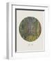 Old Masters, New Circles: Tannenwald (Pine Forest), c.1902-Gustav Klimt-Framed Art Print